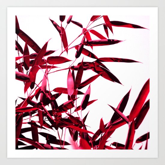 red bamboo abstract I Art Print