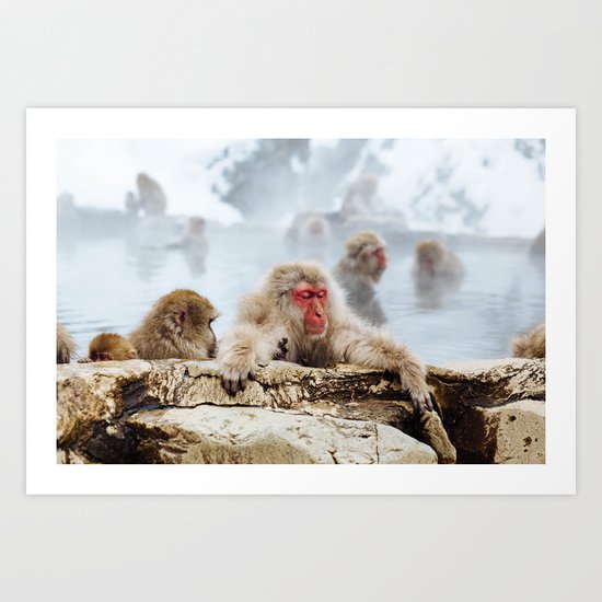 Ice Monkey Art Print