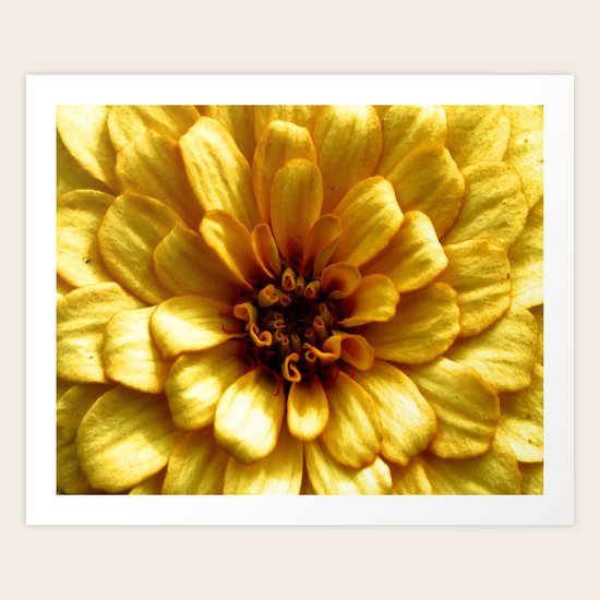 Gold Art Print