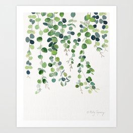 Eucalyptus Watercolor 4 Art Print