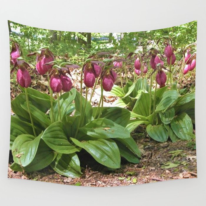 Woods of Cape Cod Wild New England Lady Slippers Wall Tapestry
