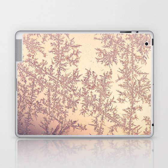 Frost Laptop & iPad Skin