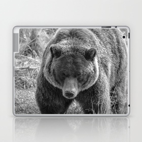 Grizzly Bear - B & W Laptop & iPad Skin