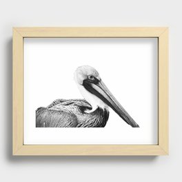 Pelican Pal Black and White Photo Recessed Framed Print