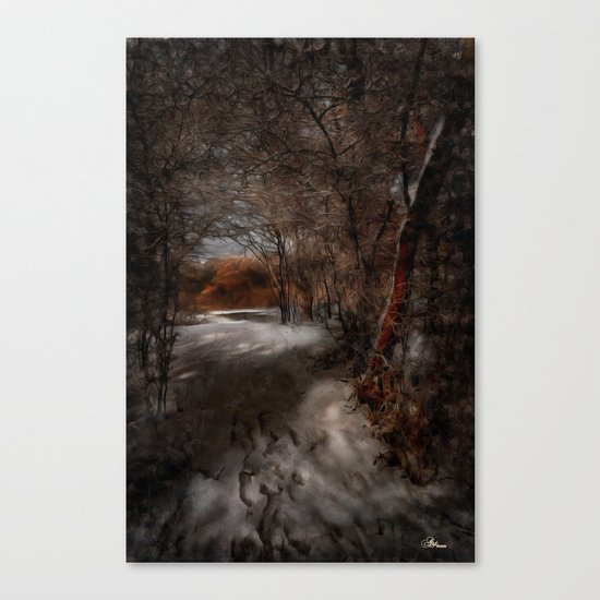 Danube II Canvas Print