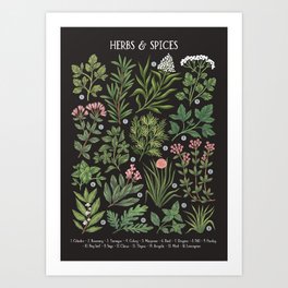 Herbs & Spices - dark Art Print