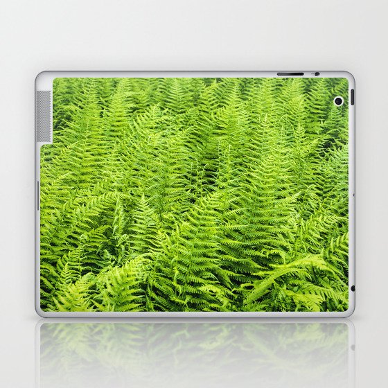 sea of ferns Laptop & iPad Skin