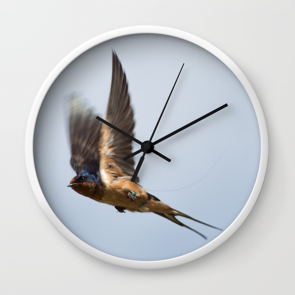 Male Barn Swallow In Flight Wall Clock By Mattwilkins Society6