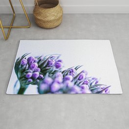 Floral Photography "LIGHTHEARTED" Area & Throw Rug
