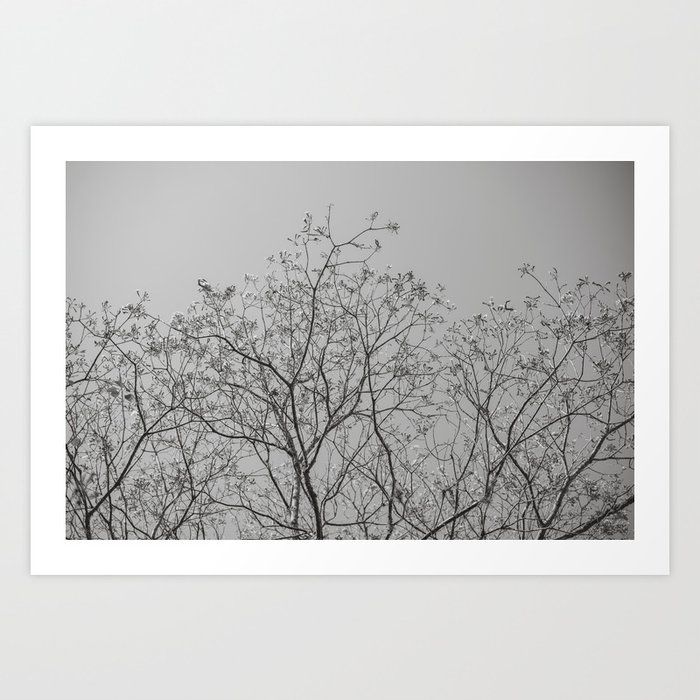 Jungle Leaves - Black and White - Real Tree #11 Art Print