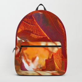 maple leaf. Autumn in Zamora. Spain Backpack