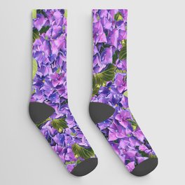 Hydrangeas Unending Socks