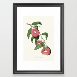 Donut Plant Framed Art Print | Green, Digital, Candy, Food, Contemporaryart, Donut, Pink, Beige, Humour, Drawing 