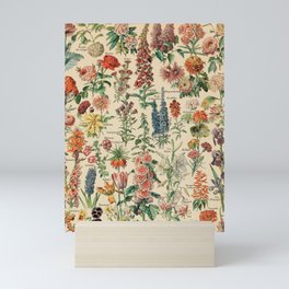 Adolphe millot 1800s fleur E Mini Art Print