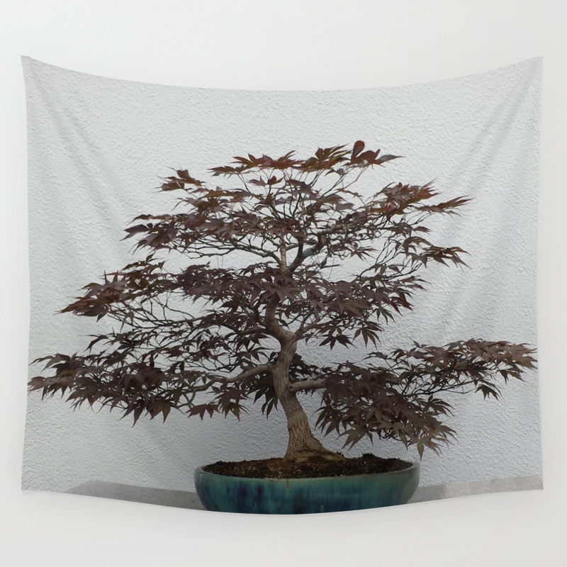 Bonsai Tree Japanese Maple Wall Tapestry By Merialayne Society6