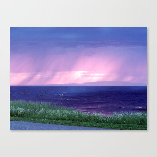 Purple Rain Canvas Print