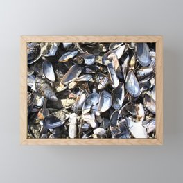 Mussels Framed Mini Art Print