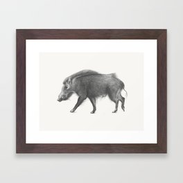 Boar Framed Art Print