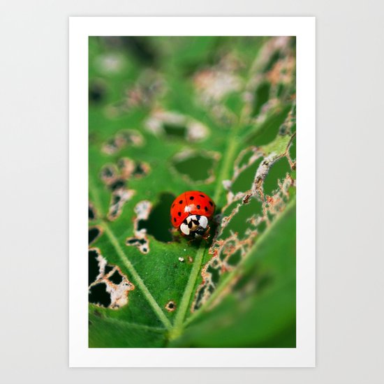 Ladybird Art Print