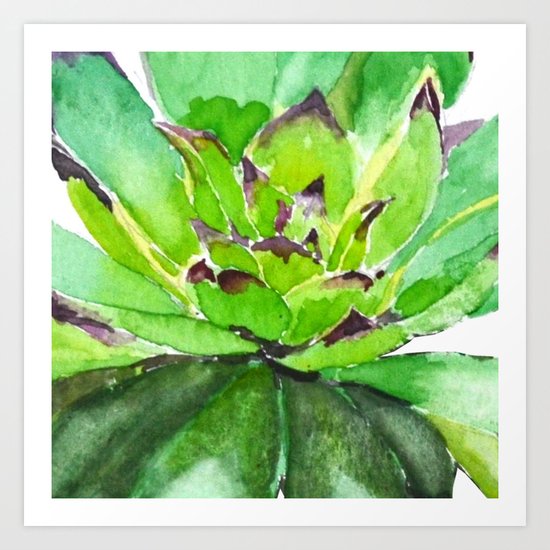 green succulent 3 Art Print