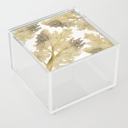 Sea Fan Coral – Gold Acrylic Box
