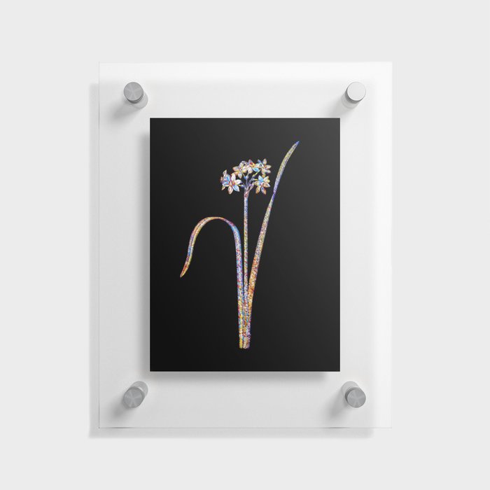 Floral Cowslip Cupped Daffodil Mosaic on Black Floating Acrylic Print