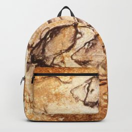 Panel of Lions // Chauvet Cave Backpack | Lions, Prehistoric, Chauvetcave, Ancientpainting, Photo, Archaeology, Historical, Ancientart, Tribal, Arthistory 