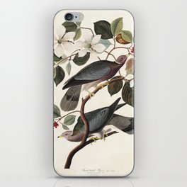 Band-tailed Pigeon from Birds of America (1827) by John James Audubon  iPhone Skin