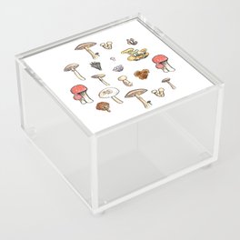 Mushroom Patch Acrylic Box