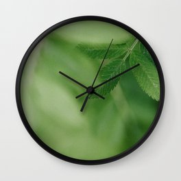 Spring life - Beautiful green rowan leaves in macro image Wall Clock