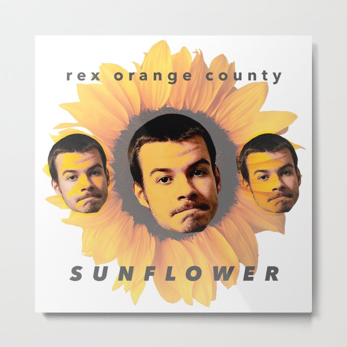 Rex Orange County Sunflower Metal Print By Skiggyy Society6
