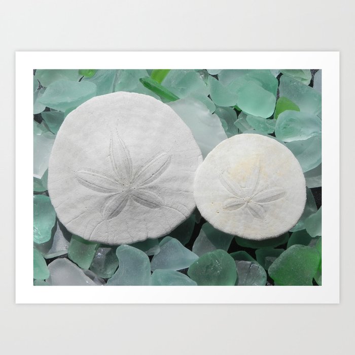Sand Dollars And Seaglass Art Print By Robynray Society6