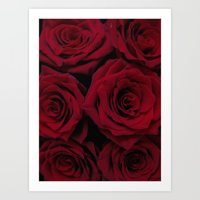 Ruby Roses Art Print