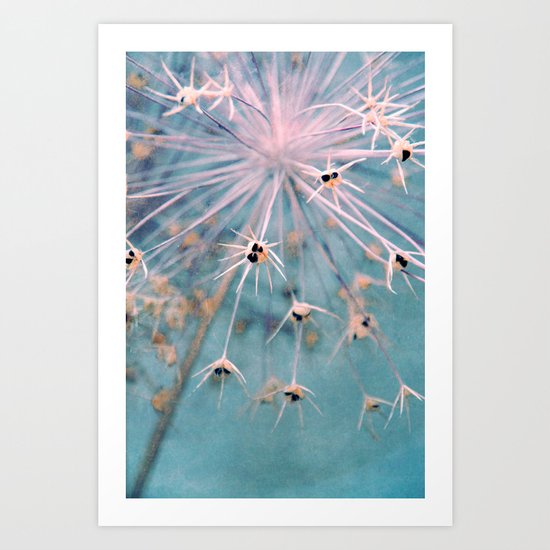 dolce Art Print
