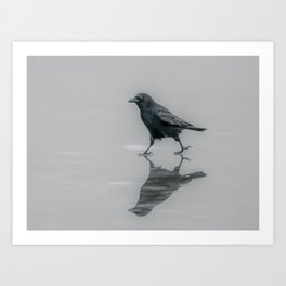 Crow walking on ice Art Print | Photo, Digital, Reflection, Digital Manipulation, Bird, Fauna, Reflections, Ice, Walking, Black And White 