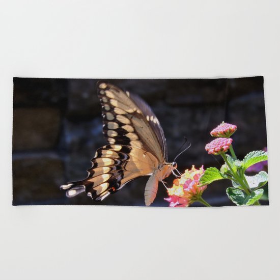 Swallowtail Overexposed Beach Towel