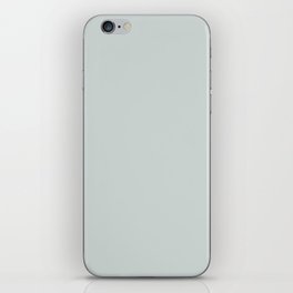 Serenely Gray iPhone Skin