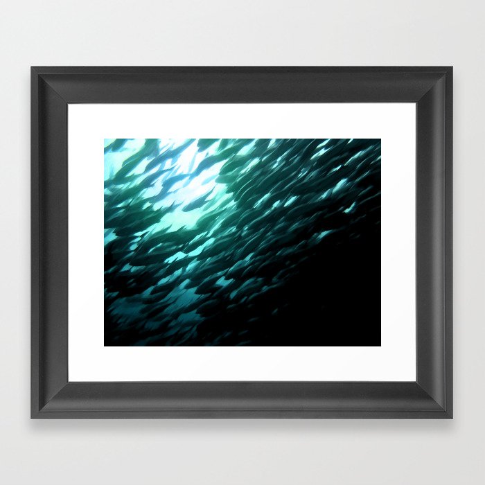 Thousands of jack fish Framed Art Print