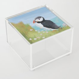 Puffin Acrylic Box