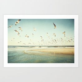 Birds on Beach Photography, Seagulls Flying Coastal Photo, Teal Bird Ocean Picture, Turquoise Aqua Art Print