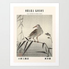 Poster-Ohara Koson-Black horseman on bamboo branch. Art Print