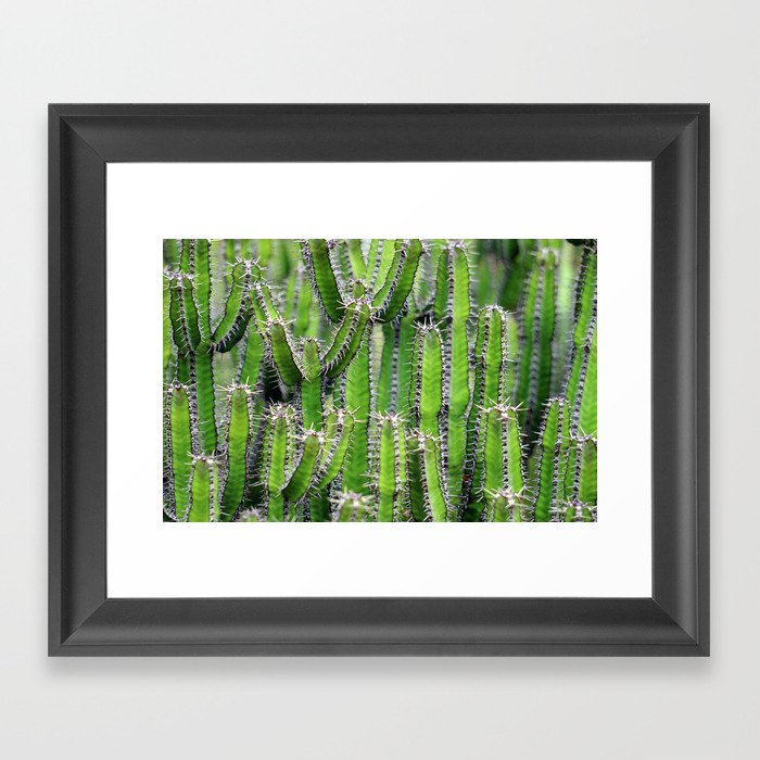 cactus illusion 4 Framed Art Print