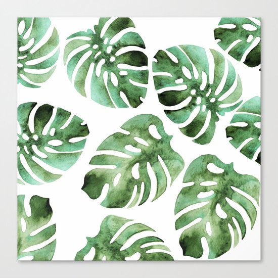 Monstera Canvas Print