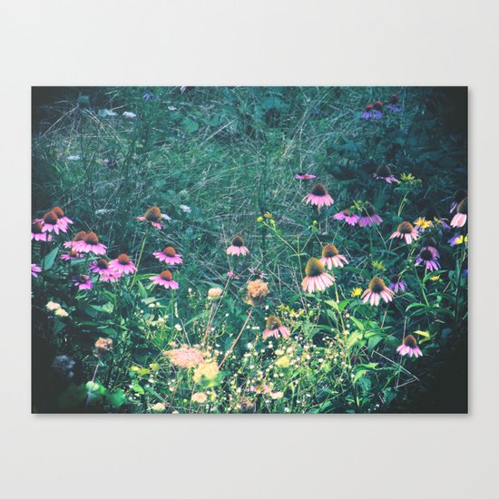Flowers of the Field Canvas Print