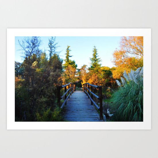 Wood Bridge Art Print