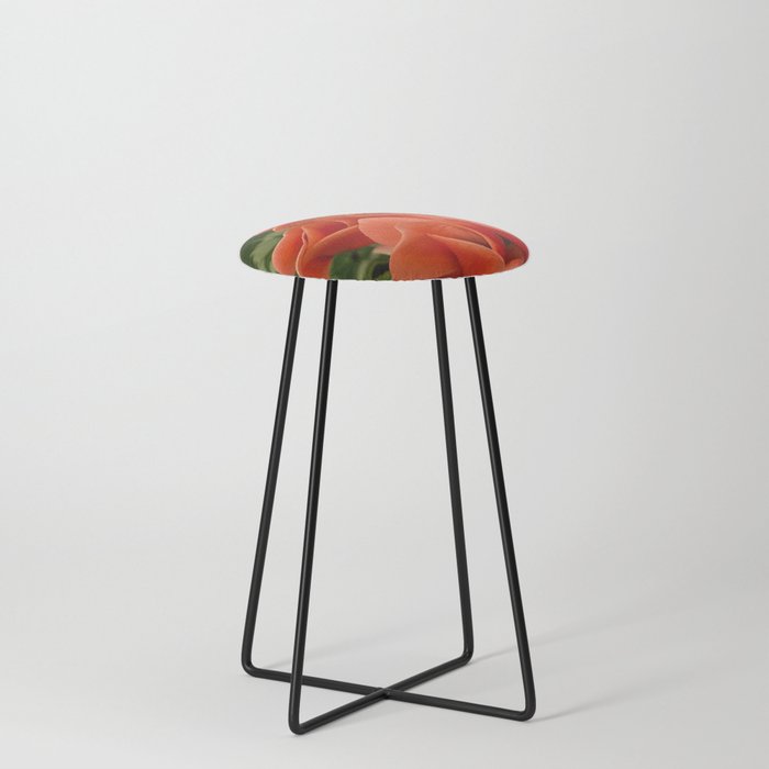 A cyclamen flourishes in autumn - photo illustration artwork Counter Stool