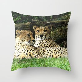 Two Cheetahs Lounging in Grass in Front of Log, Grunge Photograph Throw Pillow