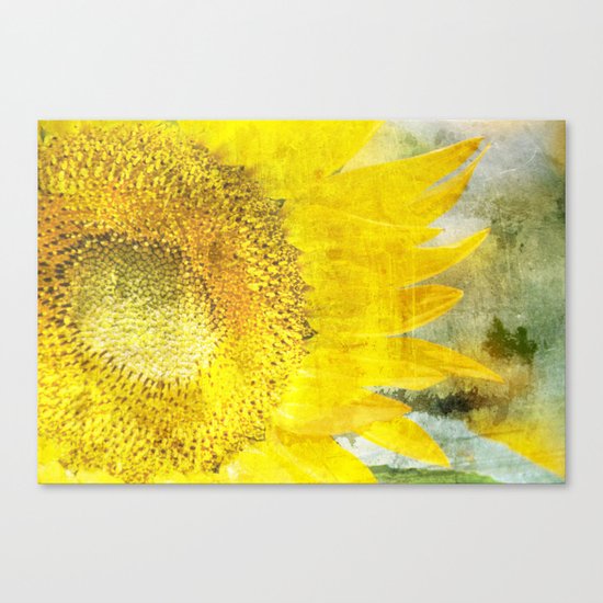 Sunflower Canvas Print