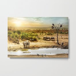 South African Safari Wildlife Scene Metal Print