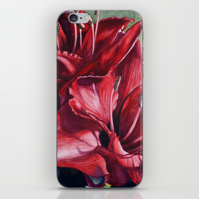Red Amaryllis Flowers iPhone Skin
